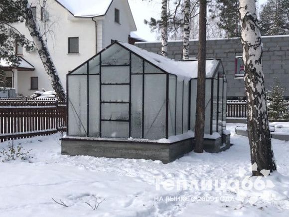 Теплица botanik T с мини-тамбуром под стекло (14 м²)