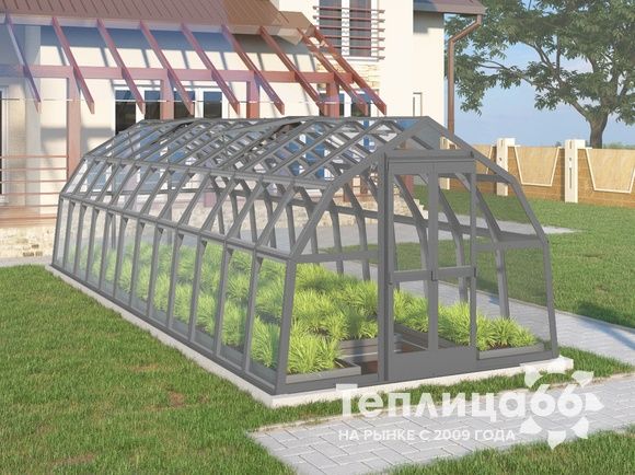Теплица Рада Нева под стекло, 2,65х8 метров, Графитовая