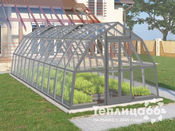 Теплица Рада Исеть под стекло 3х8 метров, графитовая