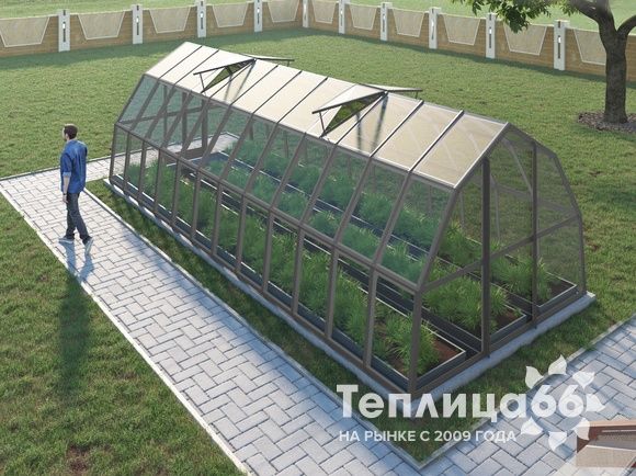 Теплица Рада Исеть под стекло 3х8 метров, графитовая